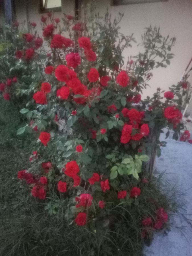 Il Mulino Di Geminella Διαμέρισμα Narzole Εξωτερικό φωτογραφία
