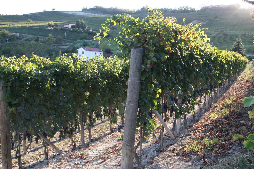 Il Mulino Di Geminella Διαμέρισμα Narzole Εξωτερικό φωτογραφία