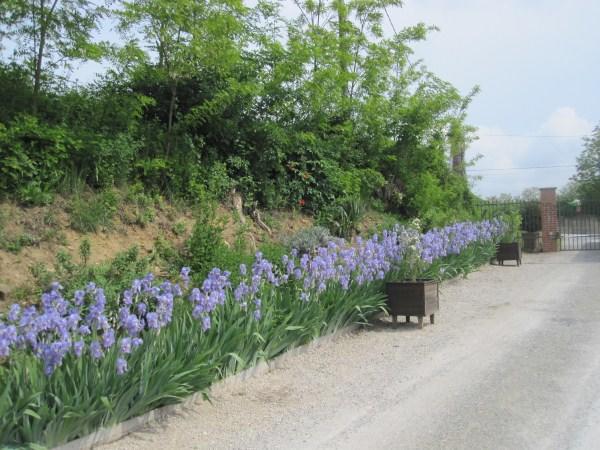 Il Mulino Di Geminella Διαμέρισμα Narzole Εξωτερικό φωτογραφία